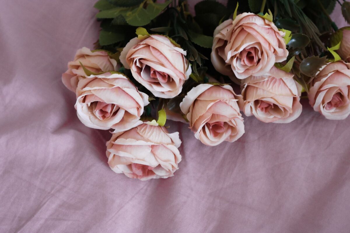 vieux rose couleurs